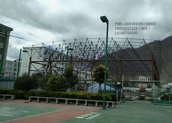  西藏山南体育彩票公园网架
